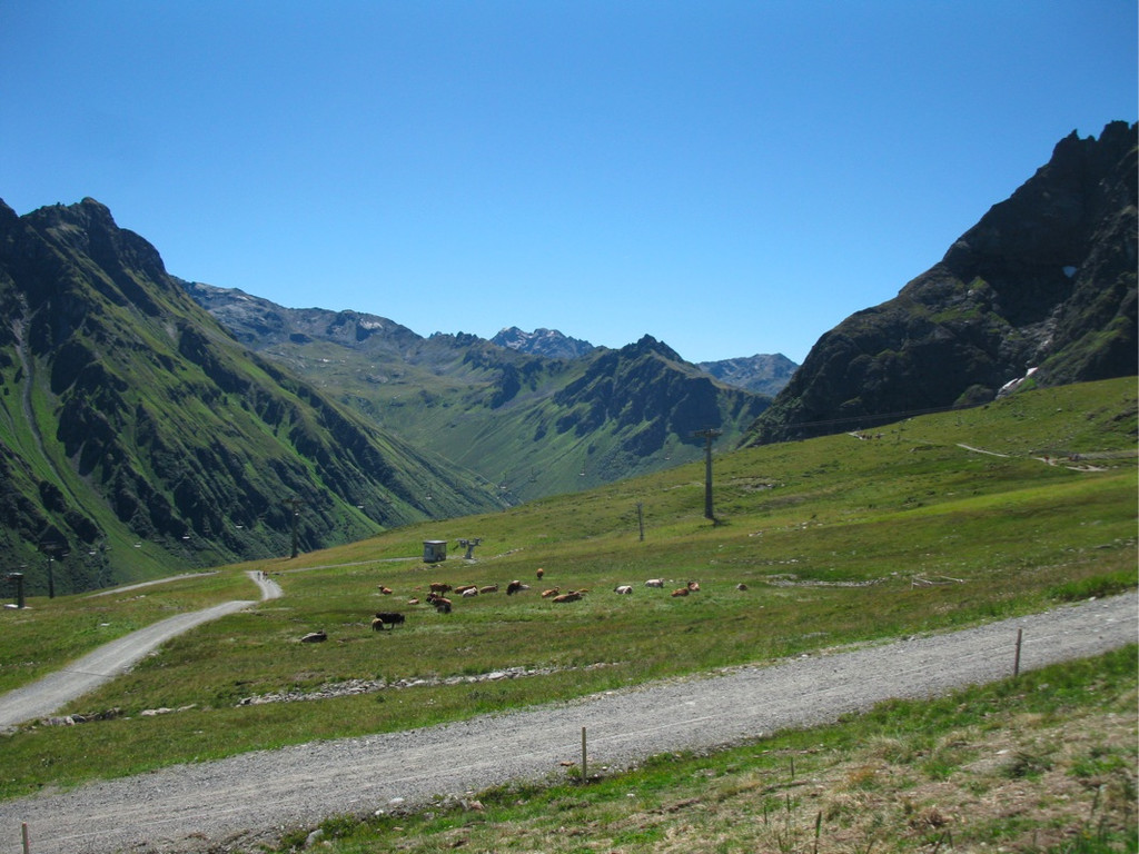 BK_GargellnerK__pfe 4_jpg-1345669485