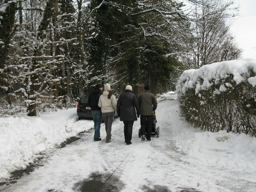 BK_310110 Schneeimpressionen Nofels 430.jpg