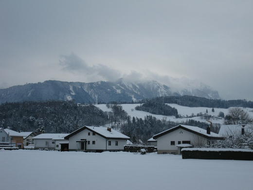 BK_310110 Schneeimpressionen Nofels 432.jpg