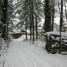 BK_310110 Schneeimpressionen Nofels 434.jpg