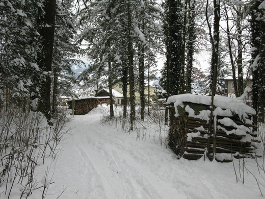 BK_310110 Schneeimpressionen Nofels 434.jpg