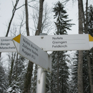 BK_310110 Schneeimpressionen Nofels 437.jpg