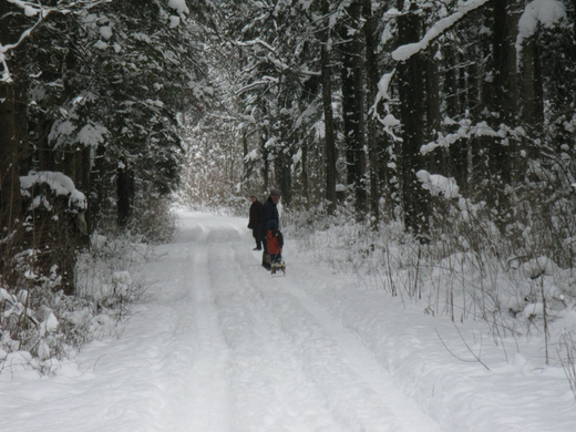 BK_310110 Schneeimpressionen Nofels 438.jpg