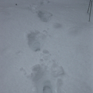 BK_310110 Schneeimpressionen Nofels 439.jpg