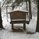 BK_310110 Schneeimpressionen Nofels 444.jpg