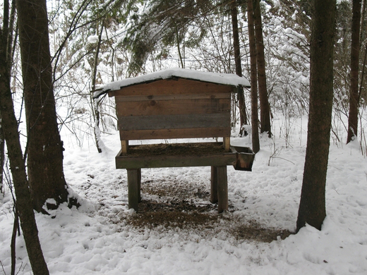 BK_310110 Schneeimpressionen Nofels 444.jpg