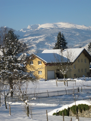 BK_310110 Schneeimpressionen Nofels 453.jpg
