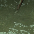 Sequenz 01_15.jpg