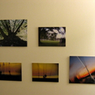 Fotos 1.JPG