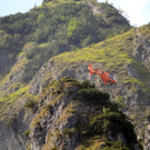 22082012gruende01001aktivnews_002.jpg