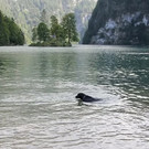 normal_22082012koenigsseede01001aktivnews_25.jpg