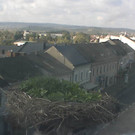 Livecam Neusiedl am See