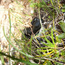 normal_230812wanderwetterat04001aktivnews12.JPG