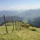 normal_230812wanderwetterat04001aktivnews25.JPG