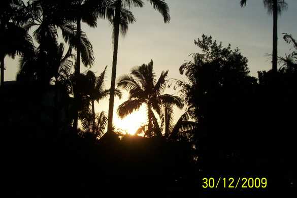Sunset_Palmen.jpg