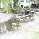 IMG_3759.JPG