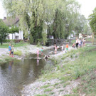 IMG_3763.JPG