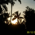 Sunset_Palmen.jpg