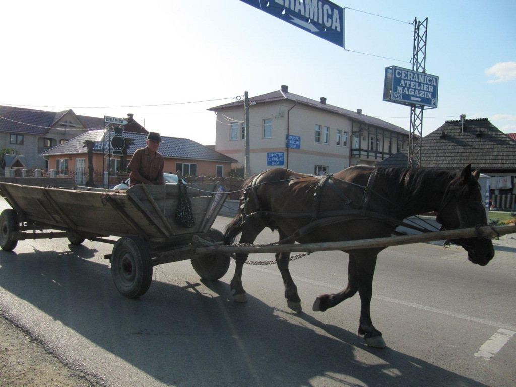 Rum__nien 4_ - 12_ 08_ 2012 067_jpg-1345730267