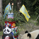 Panda Fu Hu feiert seinen vierten Geburtstag (APA; AP)