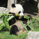 ABD0049-20120823.jpg