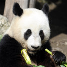 ABD0047-20120823.jpg