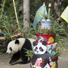 DDI0438-20120823.jpg