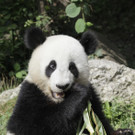 DDI0442-20120823.jpg
