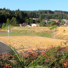 KOE_Volleyplatz Hofen 3_jpg-1345739246