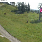 Livecam Tauplitz