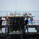 115_8196_JPG-1345813554