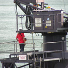 115_8133_JPG-1345813691