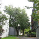 Schul-und Kulturzentrum04.JPG