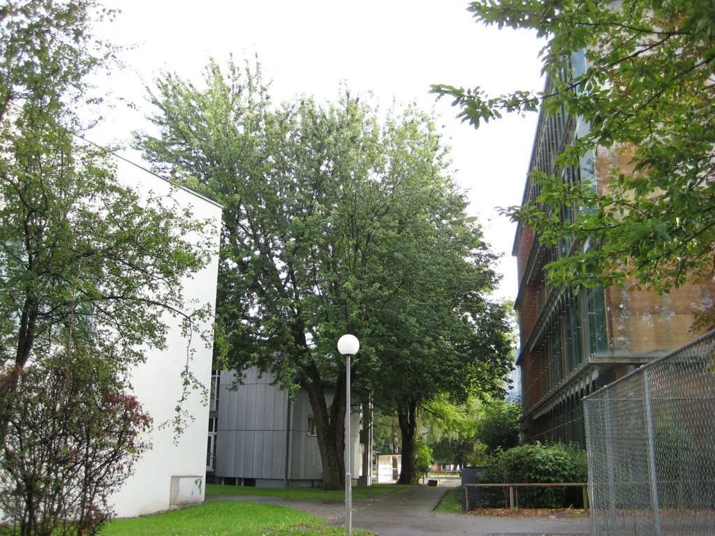 Schul-und Kulturzentrum04.JPG
