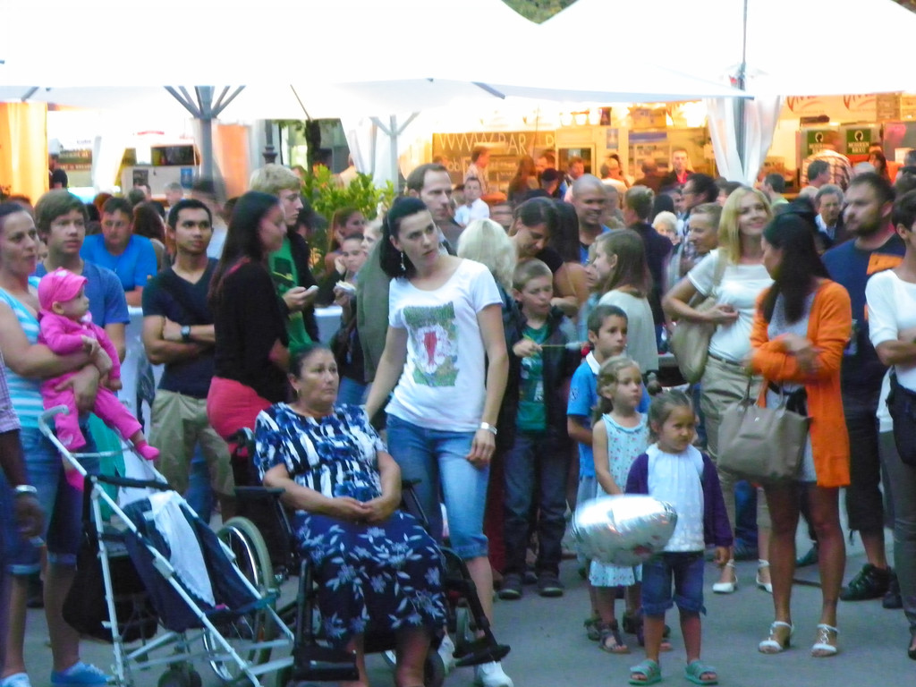 115_8910_JPG-1345883761