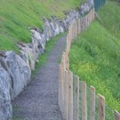 DSCN8468_JPG-1345885623