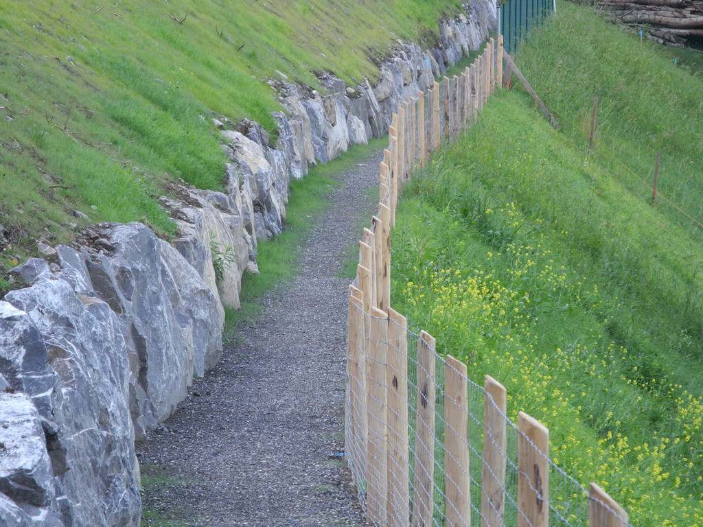 DSCN8468_JPG-1345885623