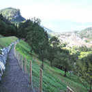 DSCN8469_JPG-1345885648