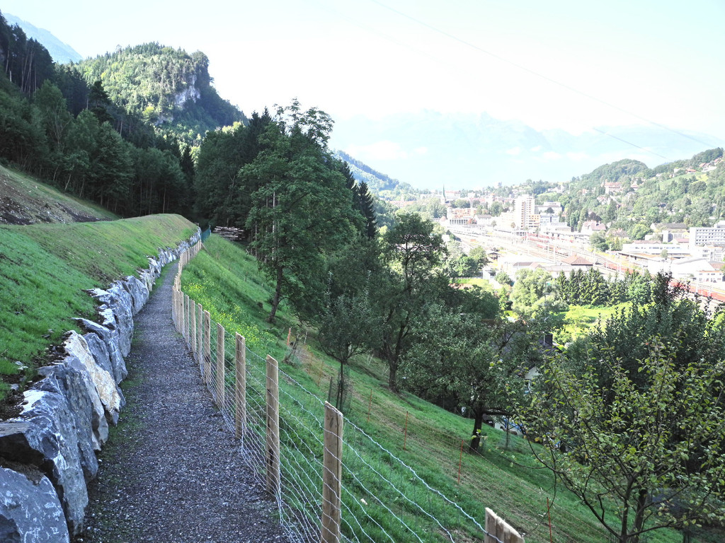 DSCN8469_JPG-1345885648