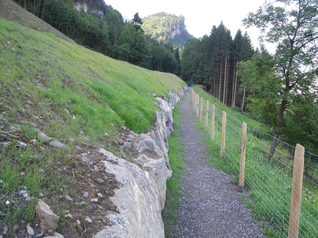 DSCN8471_JPG-1345885704