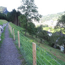 DSCN8472_JPG-1345885732