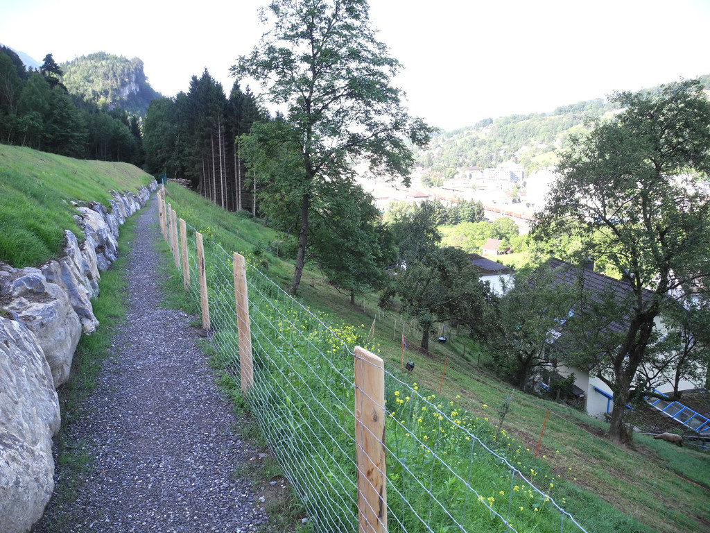 DSCN8472_JPG-1345885732