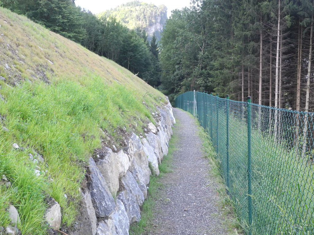 DSCN8473_JPG-1345885761