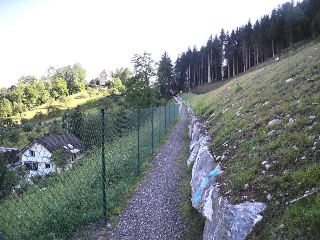 DSCN8474_JPG-1345885787