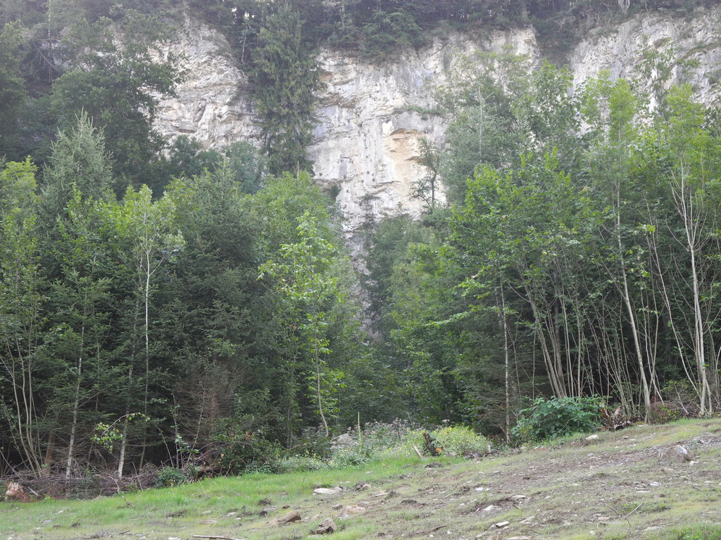 DSCN8481_JPG-1345885909