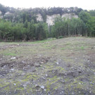 DSCN8482_JPG-1345885937