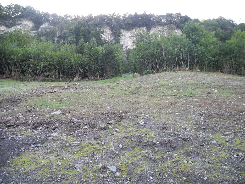 DSCN8482_JPG-1345885937