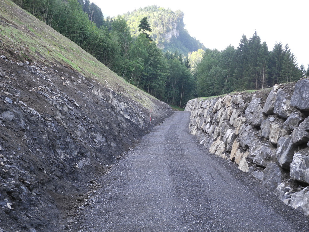 DSCN8485_JPG-1345886018