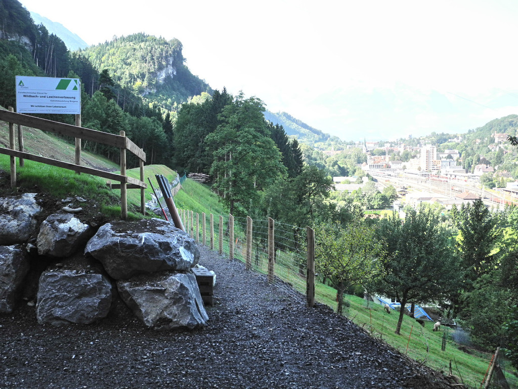 DSCN8486_JPG-1345886044