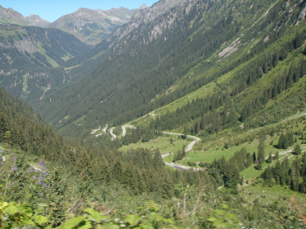 P8171339.JPG